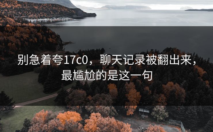 别急着夸17c0，聊天记录被翻出来，最尴尬的是这一句