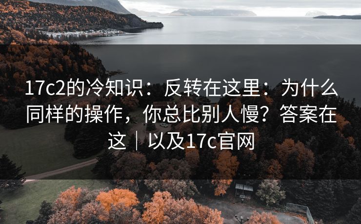 17c2的冷知识：反转在这里：为什么同样的操作，你总比别人慢？答案在这｜以及17c官网