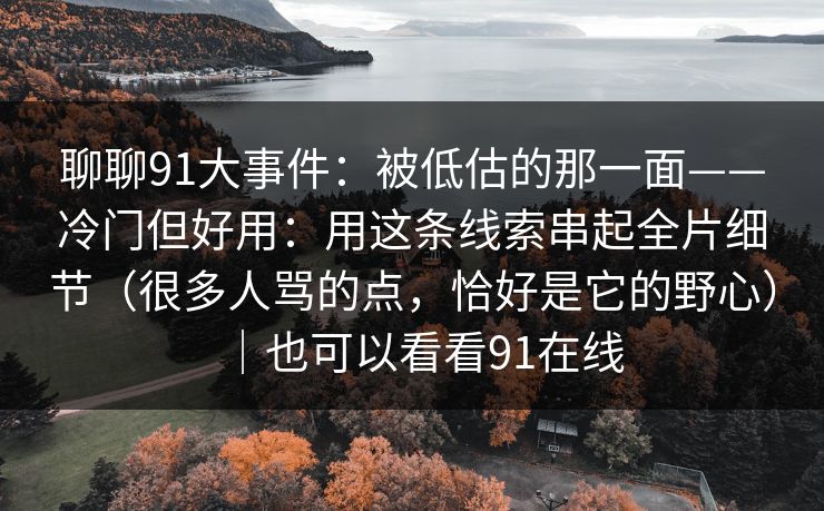 聊聊91大事件：被低估的那一面——冷门但好用：用这条线索串起全片细节（很多人骂的点，恰好是它的野心）｜也可以看看91在线